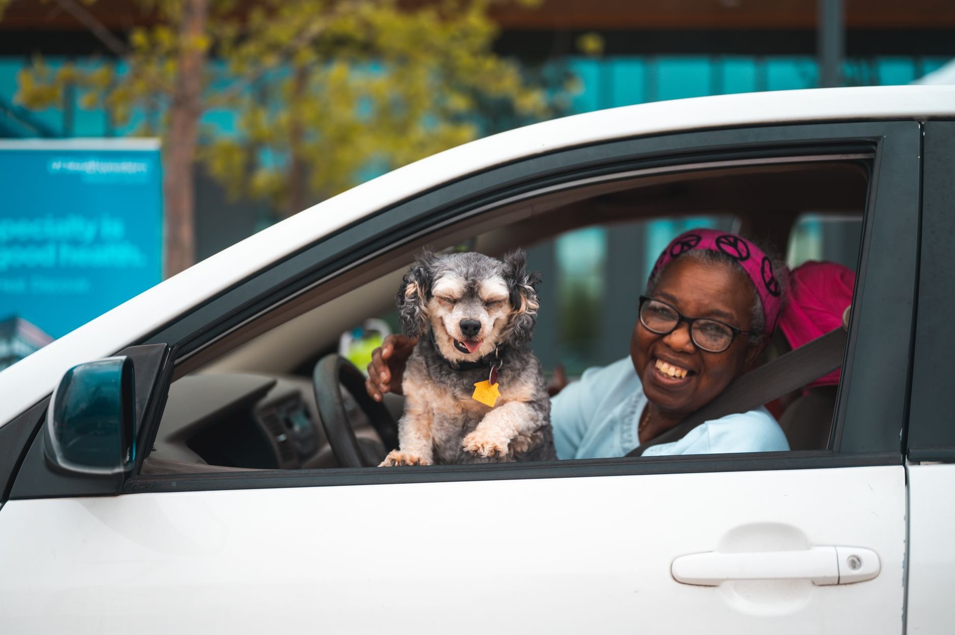 Smiling senior woman with glasses enjoying a car ride with her happy dog.